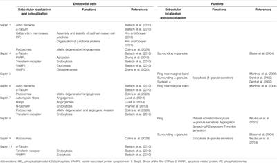 Role of Septins in Endothelial Cells and Platelets